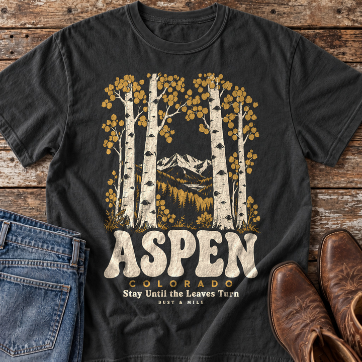 Aspen Colorado T-Shirt in Black